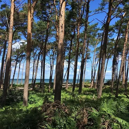 Baltic Sea Droemelhus 아파트