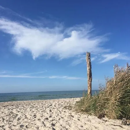 Baltic Sea Droemelhus *