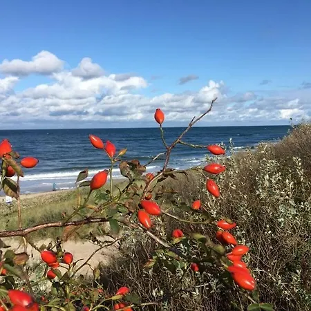 Baltic Sea Droemelhus *